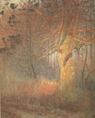 Emile Claus Tree in the Sun (nn02) China oil painting art